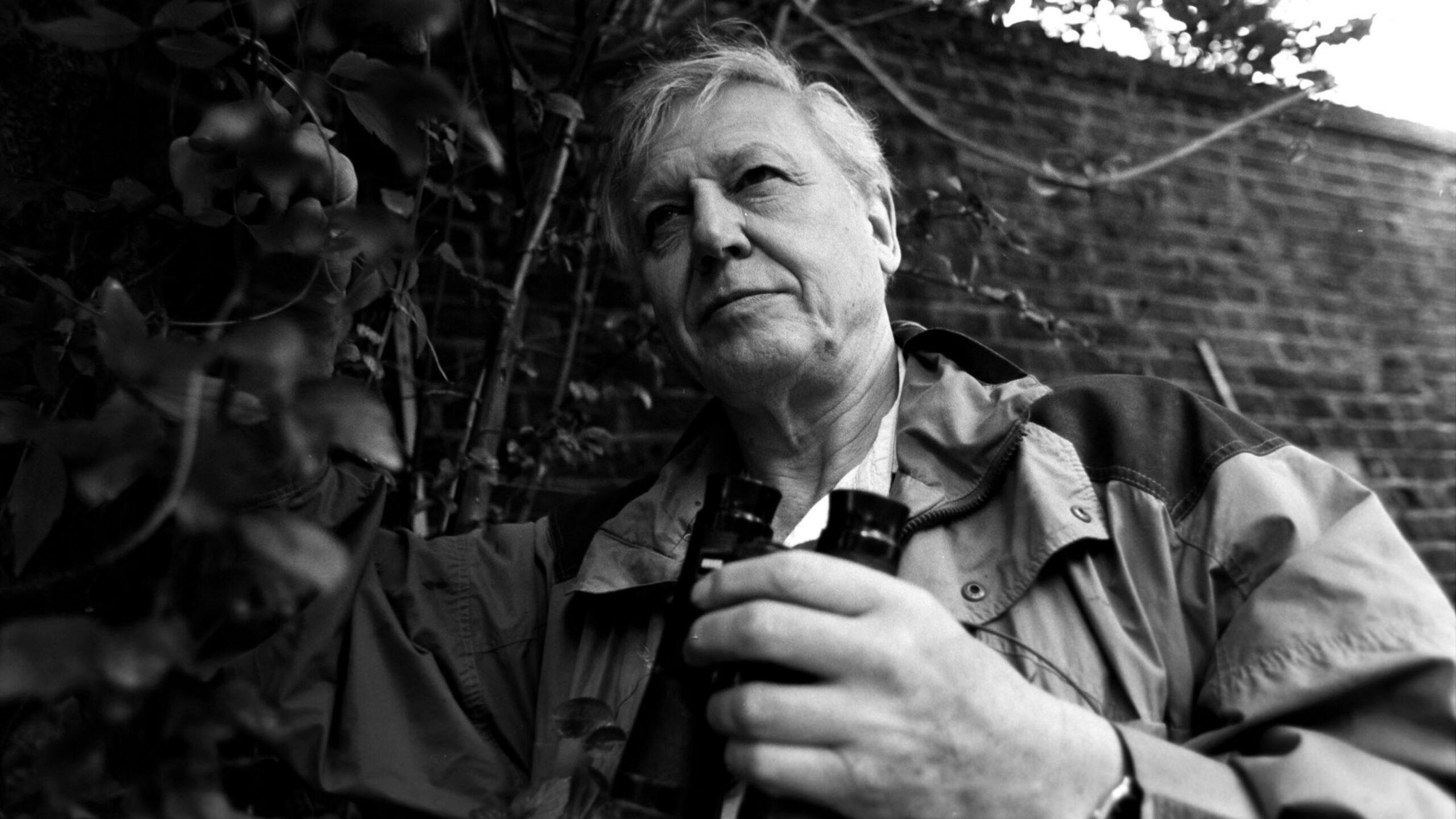 Prince Harry David Attenborough 100Th Birthday Tribute