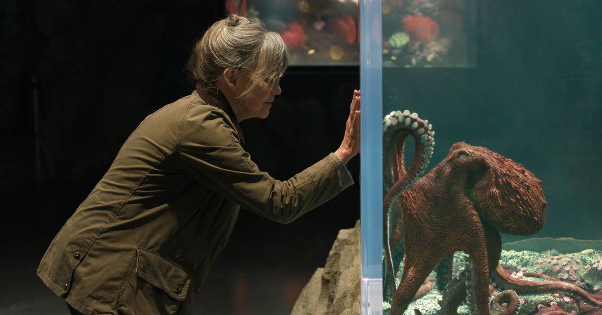 Remarkably Bright Creatures Netflix Book Changes