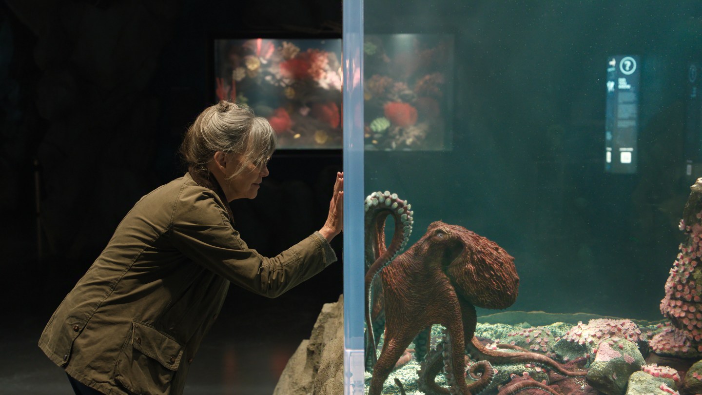 Remarkably Bright Creatures Netflix Review Sally Field