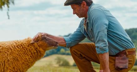 The Sheep Detectives Review Hugh Jackman Family Film 2026